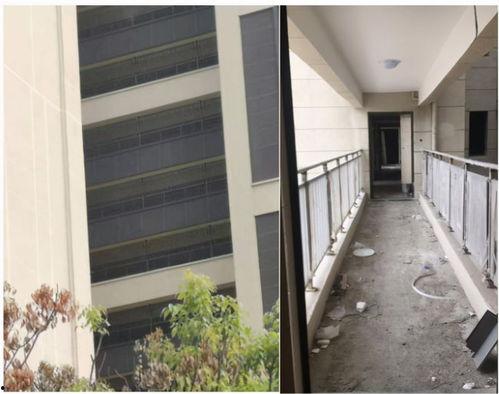 郑州地产大爆料最新消息,揭秘最新市场动态与项目动向