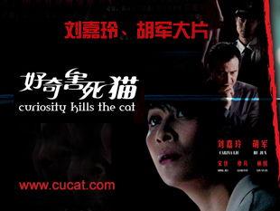 电影好奇害死猫在线观看,揭秘电影背后的悬疑世界  第3张